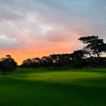 Golf Ride