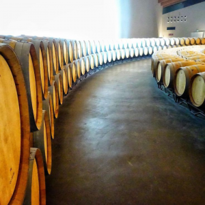 Grands vins rouges du Pays Basque