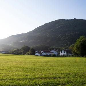 Itxassou, l'or noir du Pays Basque