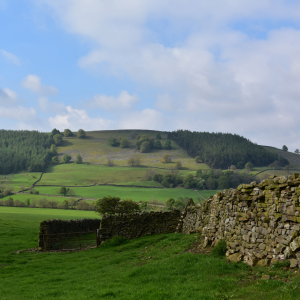 Visite dans les terres du Pays Basque, Cambo les bains