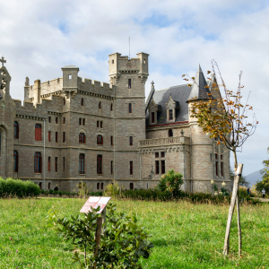 Le château d'Abbadia